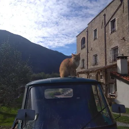 Le Rotte *
