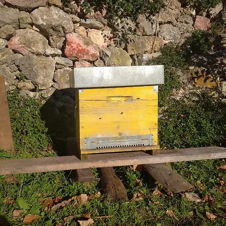 Séjour à la ferme Le Rotte Balestrino