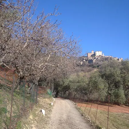בית חווה Le Rotte Balestrino